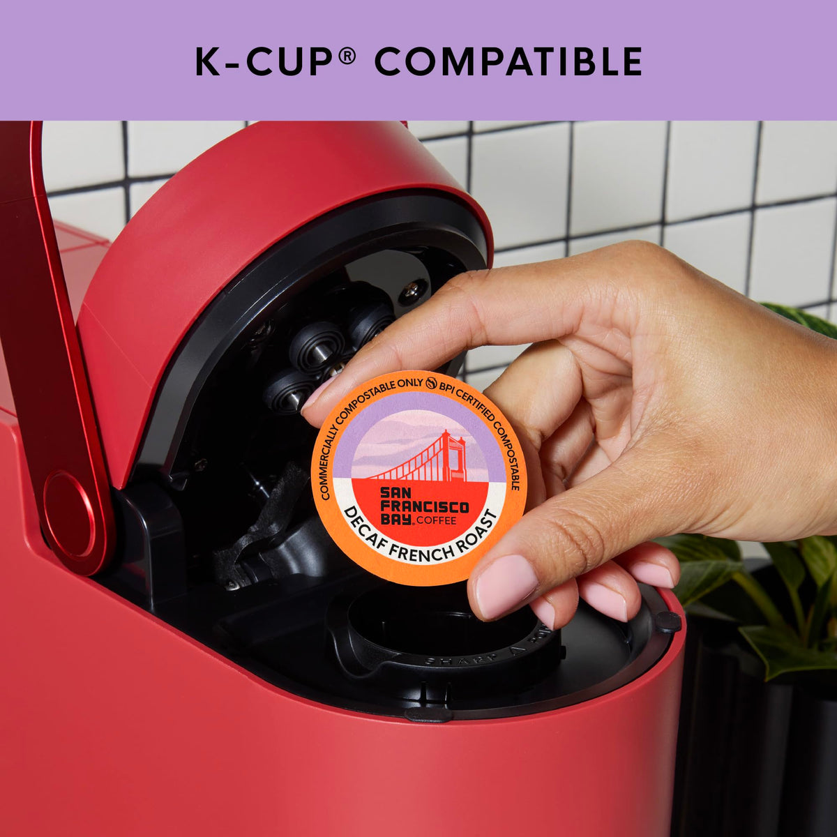 San Francisco Bay Decaf French Roast K-Cup Pods – 36 ct, Swiss Water Process, Compostable