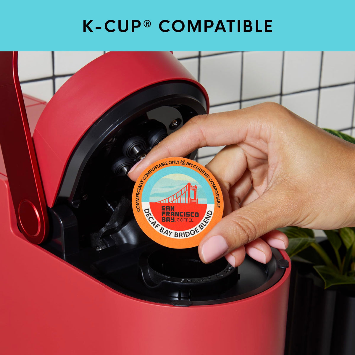 San Francisco Bay Decaf Bay Bridge Blend K-Cup Pods — 80-count, Medium Roast, Swiss Water Process, Compostable
