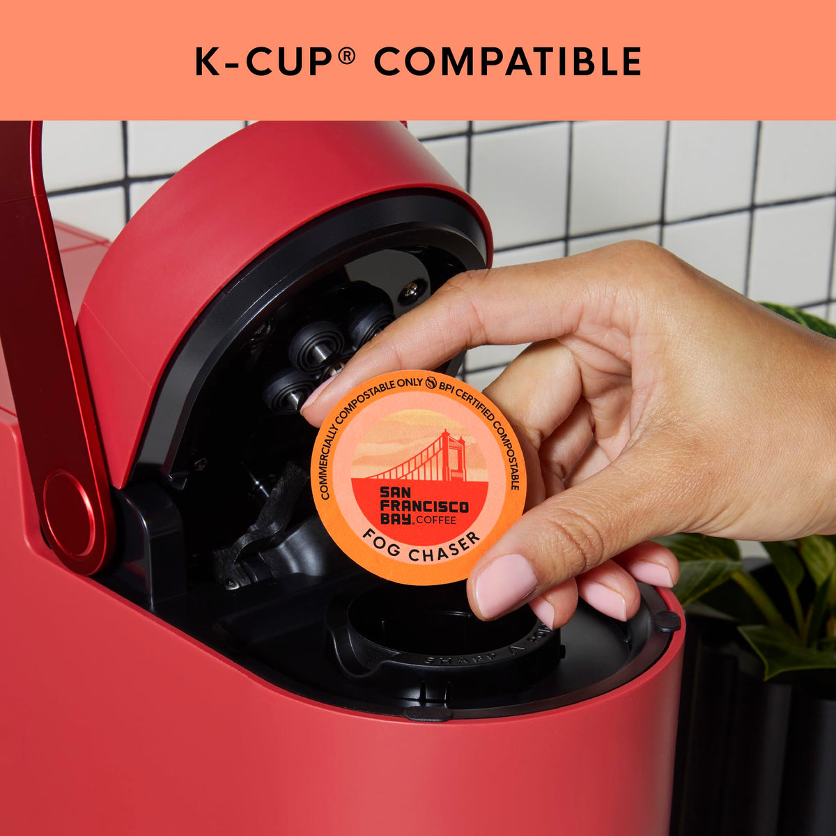 San Francisco Bay Fog Chaser K-Cup Pods – 36 ct, Medium-Dark Roast