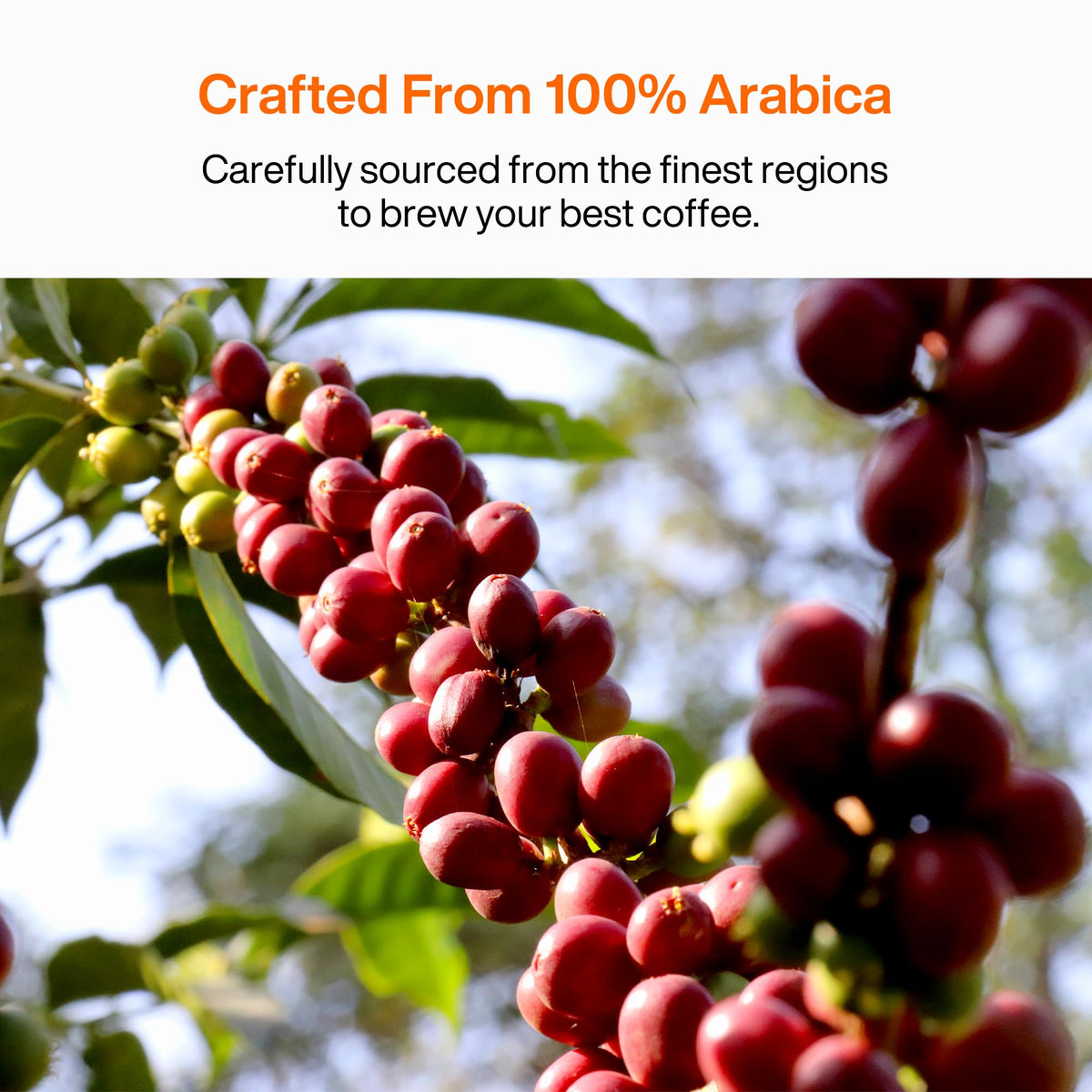 SaturnBird Super Instant Coffee Pods – 24 Single-Serve Packets, 100% Arabica, No.1-3 Light/Medium Roast