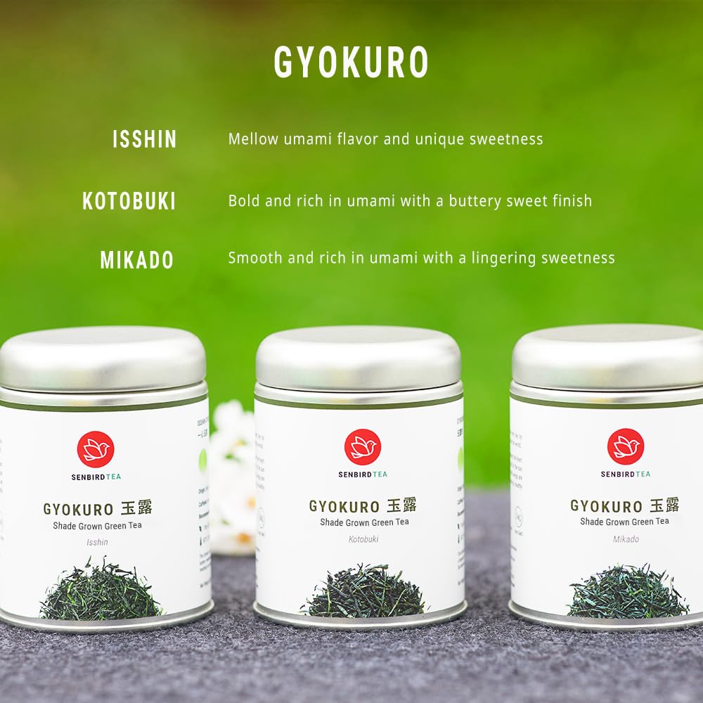 Senbird Premium Gyokuro Kyoto Shade-Grown Japanese Green Tea in Airtight Tin (Isshin)