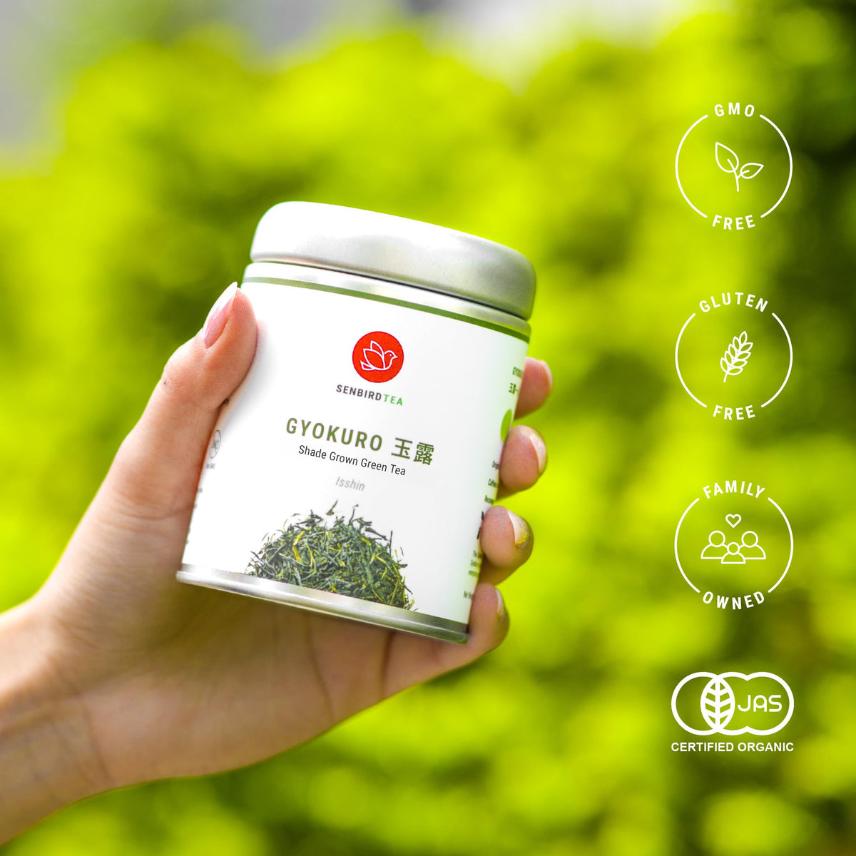 Senbird Premium Gyokuro Kyoto Shade-Grown Japanese Green Tea in Airtight Tin (Isshin)
