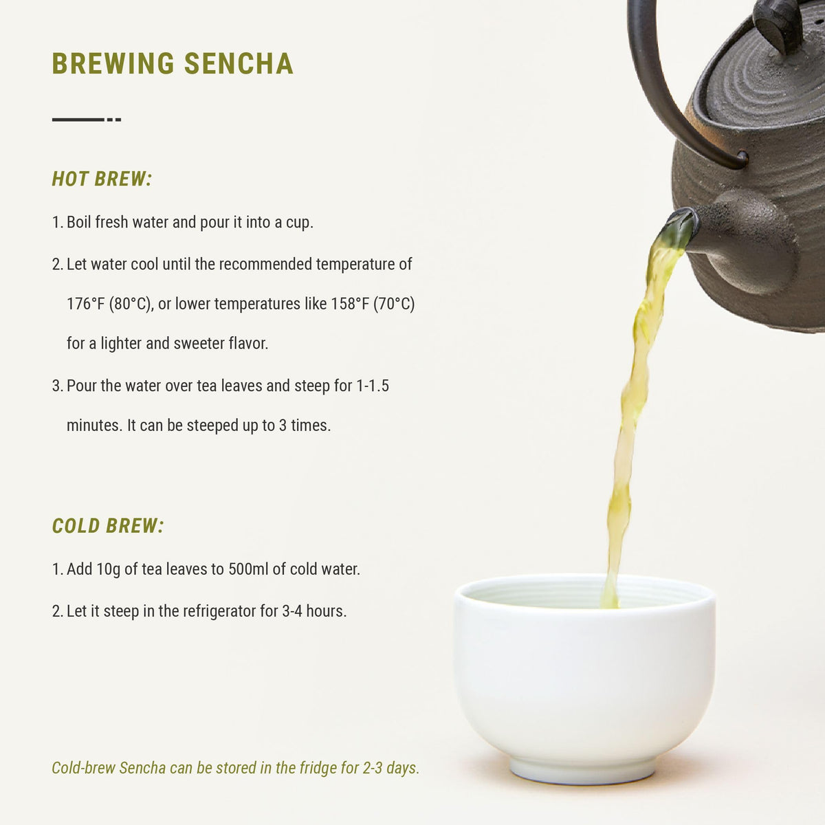 Senbird Premium Sencha – Japanese Green Tea from Shizuoka | Loose Leaf in Airtight Tin (3.5oz/100g)