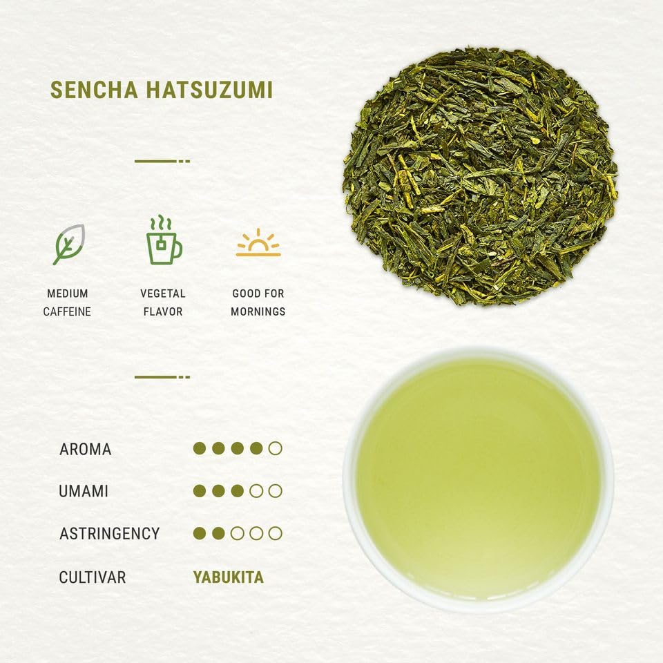 Senbird Premium Sencha – Japanese Green Tea from Shizuoka | Loose Leaf in Airtight Tin (3.5oz/100g)