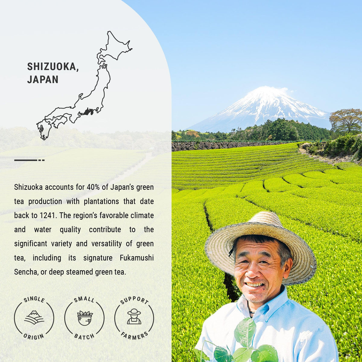 Senbird Premium Sencha – Japanese Green Tea from Shizuoka | Loose Leaf in Airtight Tin (3.5oz/100g)