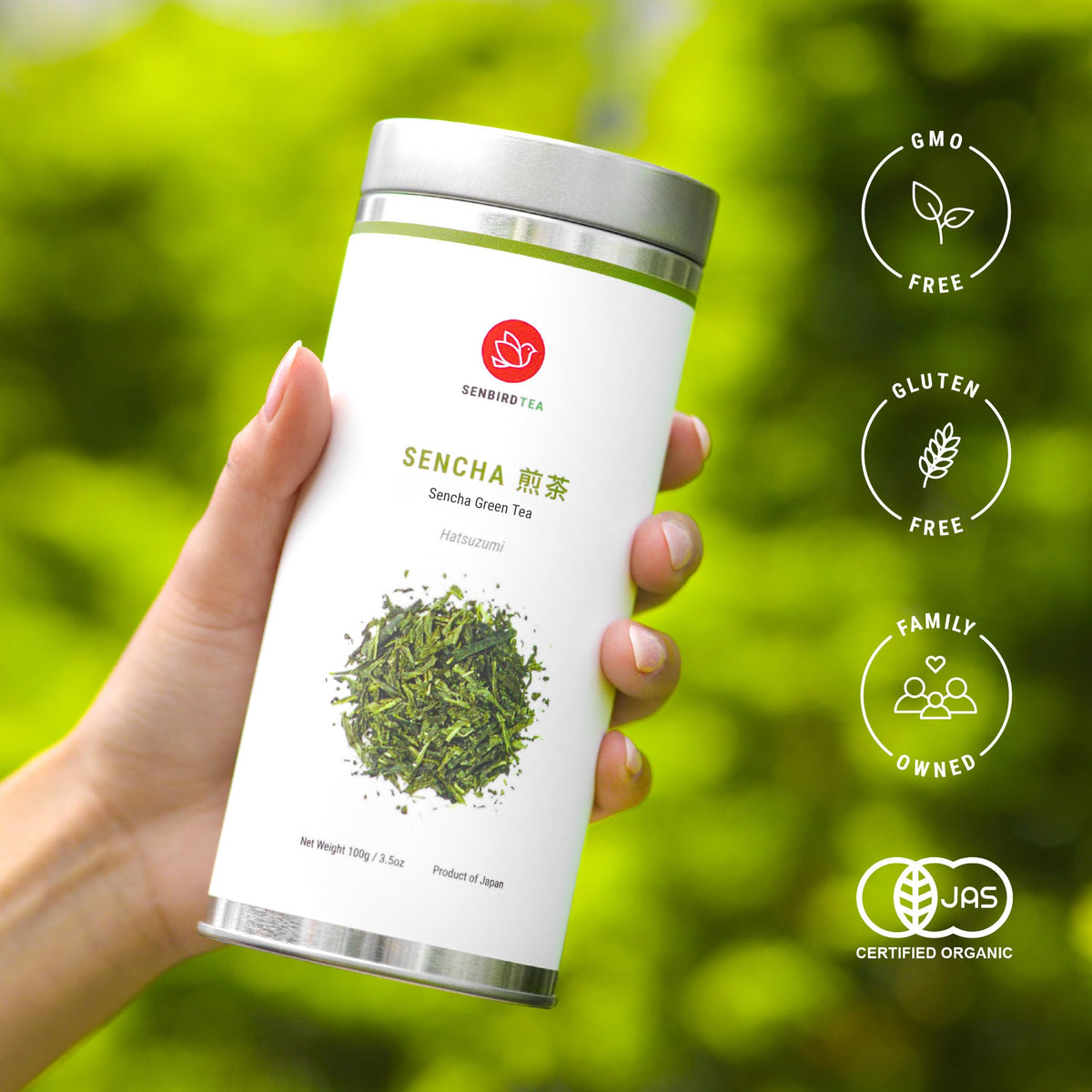 Senbird Premium Sencha – Japanese Green Tea from Shizuoka | Loose Leaf in Airtight Tin (3.5oz/100g)