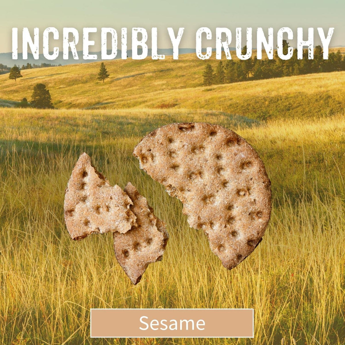 Sesmark Gluten Free Rice Thins Sesame – Non-GMO Project Verified (Pack of 12)