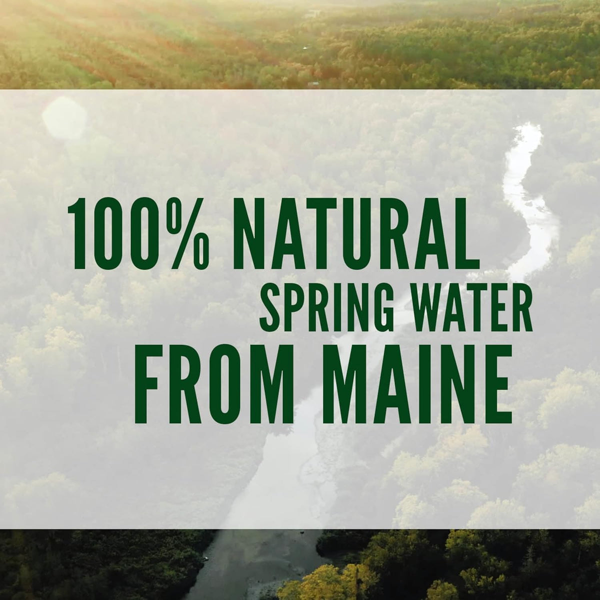 SHAHCO Poland Spring 100% Natural Spring Water — 1 Gallon (2 Pack)