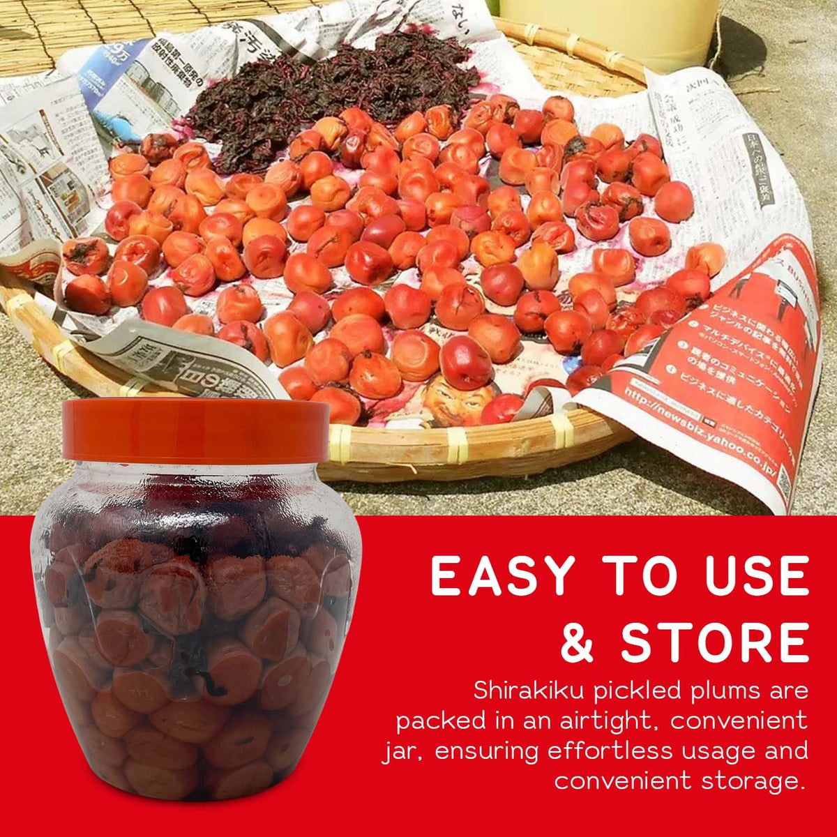 Shirakiku Salted Plums Shiso Ume – Umeboshi for Noodles, Rice Balls, Sandwiches | 2.2lb Jar