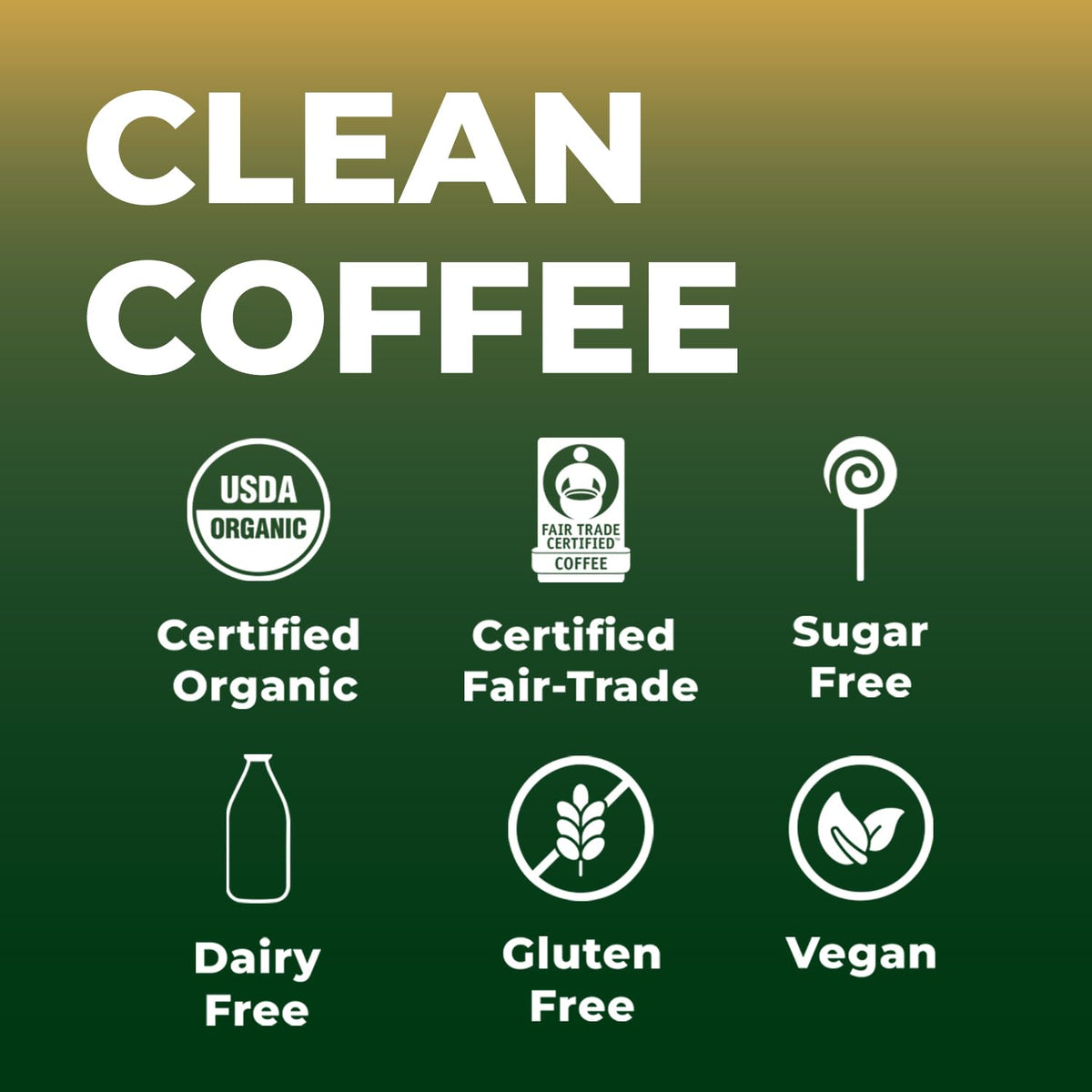 Shroomi Mushroom Focus Coffee – 16,000mg Lions Mane, Reishi & Chaga | Dark Roast 10oz