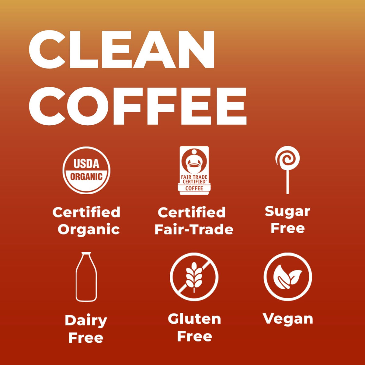 Shroomi Mushroom Focus Coffee — 16,000mg Lions Mane, Reishi & Chaga | Medium Roast 10oz