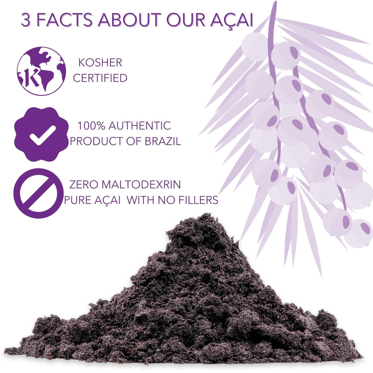 Slofoodgroup Freeze Dried Açaí Powder – Pure Brazilian Acai Powder, 1 lb