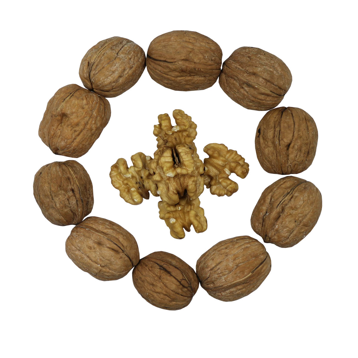 Smarty Stop Raw Walnuts in Shell (5 lb) – Fresh, Whole Nuts