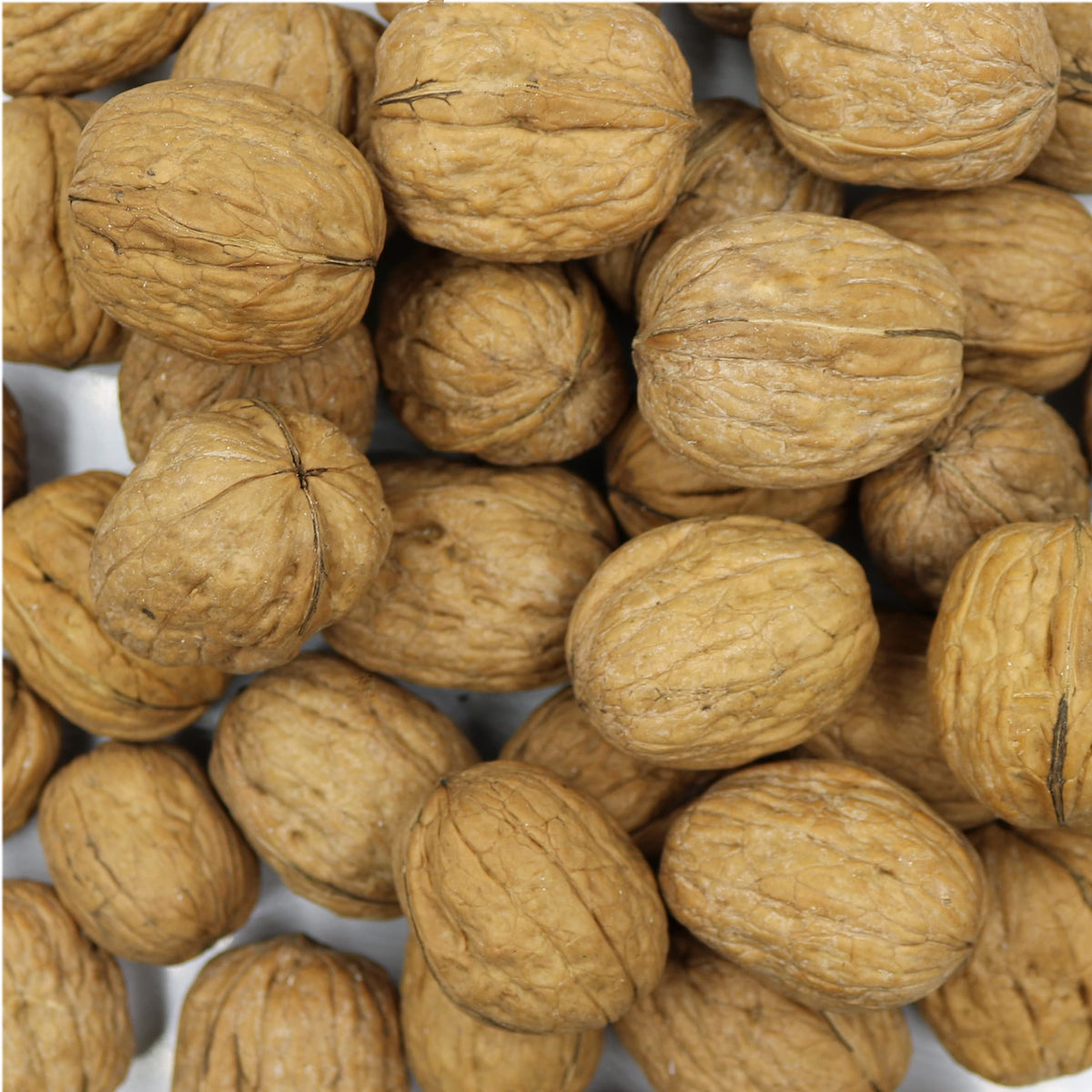 Smarty Stop Raw Walnuts in Shell (5 lb) – Fresh, Whole Nuts