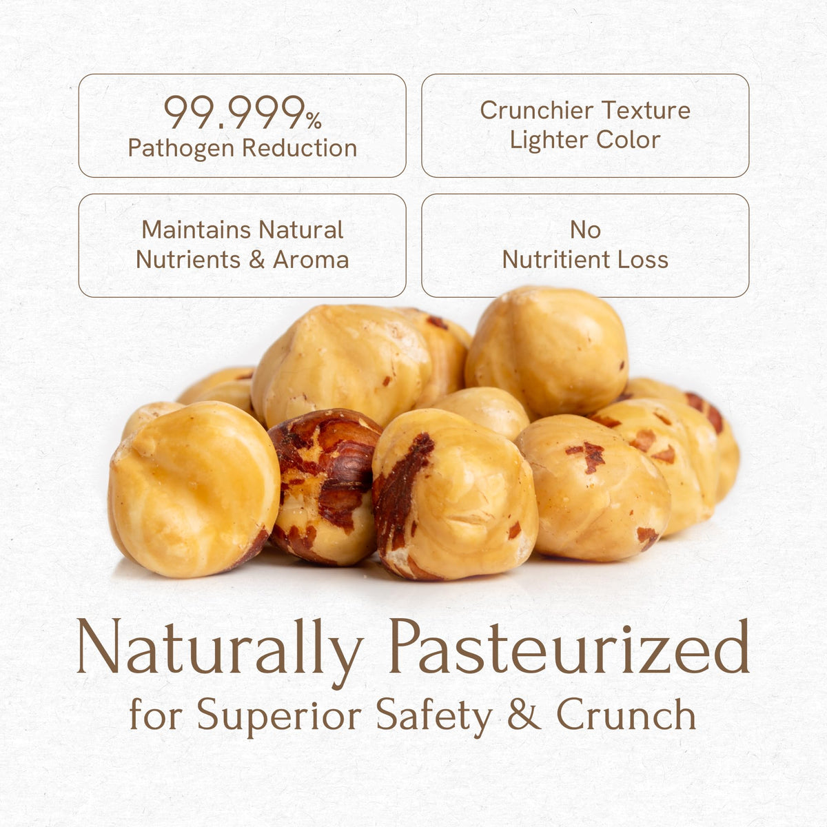 Snackathon Roasted Oregon Hazelnuts – Unsalted, Dry-Roasted Whole Filberts, 2 lb Resealable Bag | Premium USA Grown Nuts