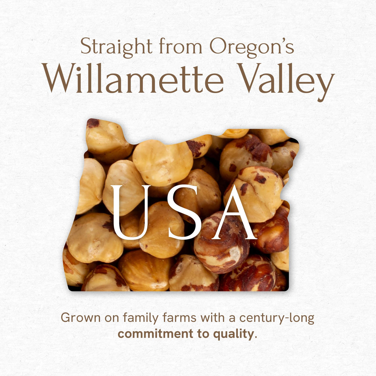 Snackathon Roasted Oregon Hazelnuts – Unsalted, Dry-Roasted Whole Filberts, 2 lb Resealable Bag | Premium USA Grown Nuts