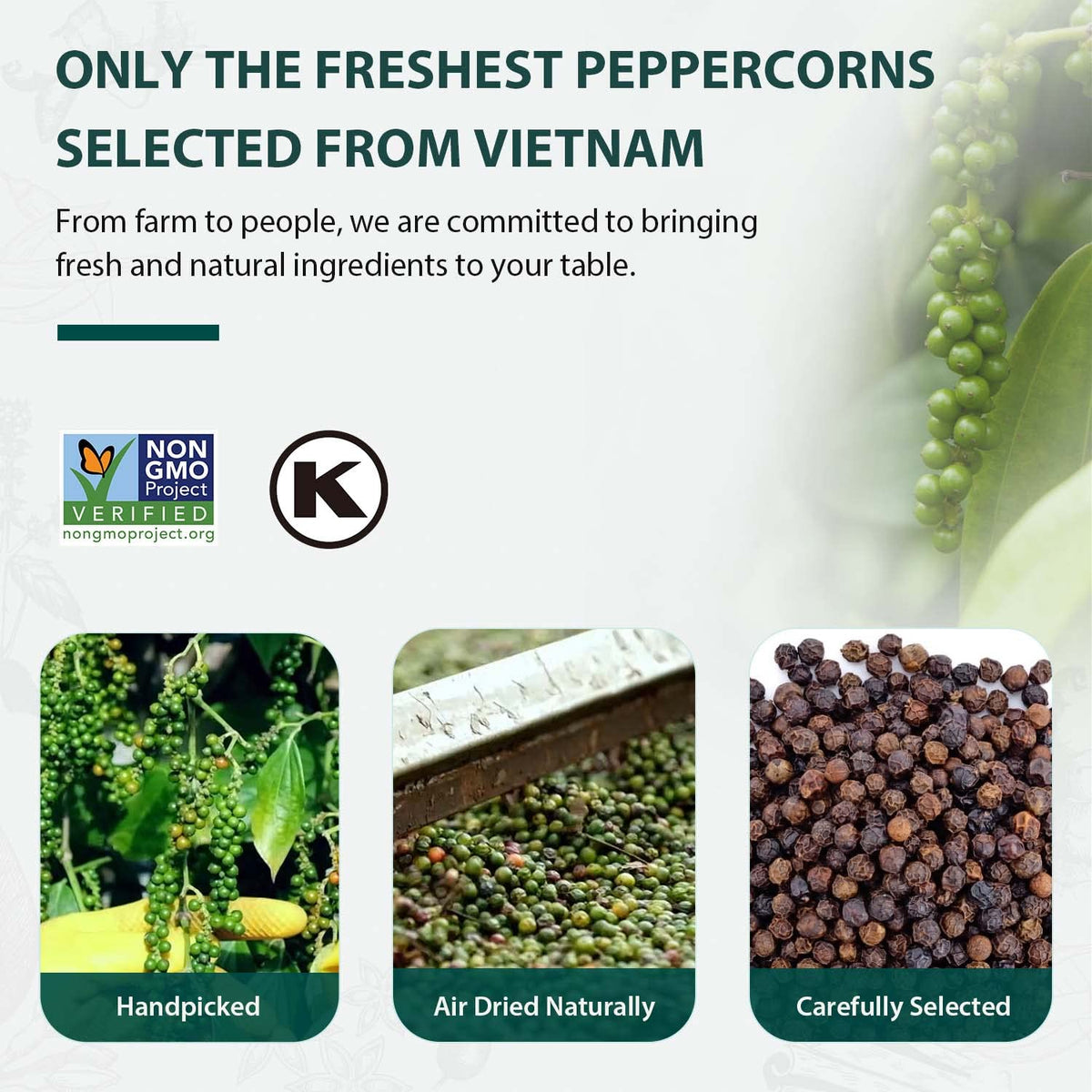 Soeos Black Peppercorns, 18oz x2 – Whole, Non-GMO, Kosher, Fresh-Pack Peppercorns