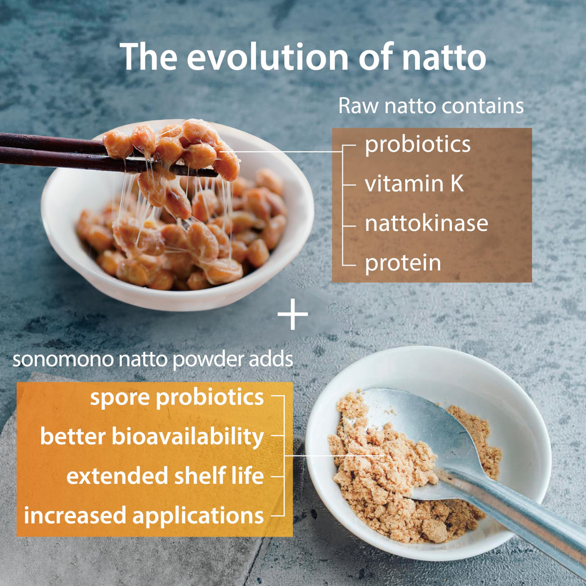 sonomono Natto Classic Powder – Japanese Fermented Soybeans, Vegan, 60 g