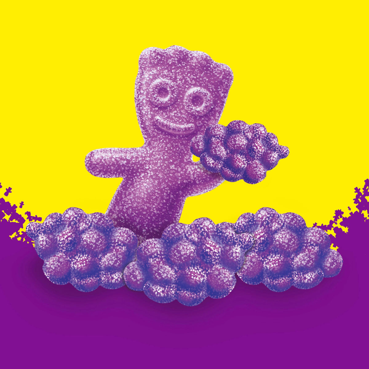 SOUR PATCH KIDS Grape Soft & Chewy Candy — Bulk 12 x 8.02 oz Bags