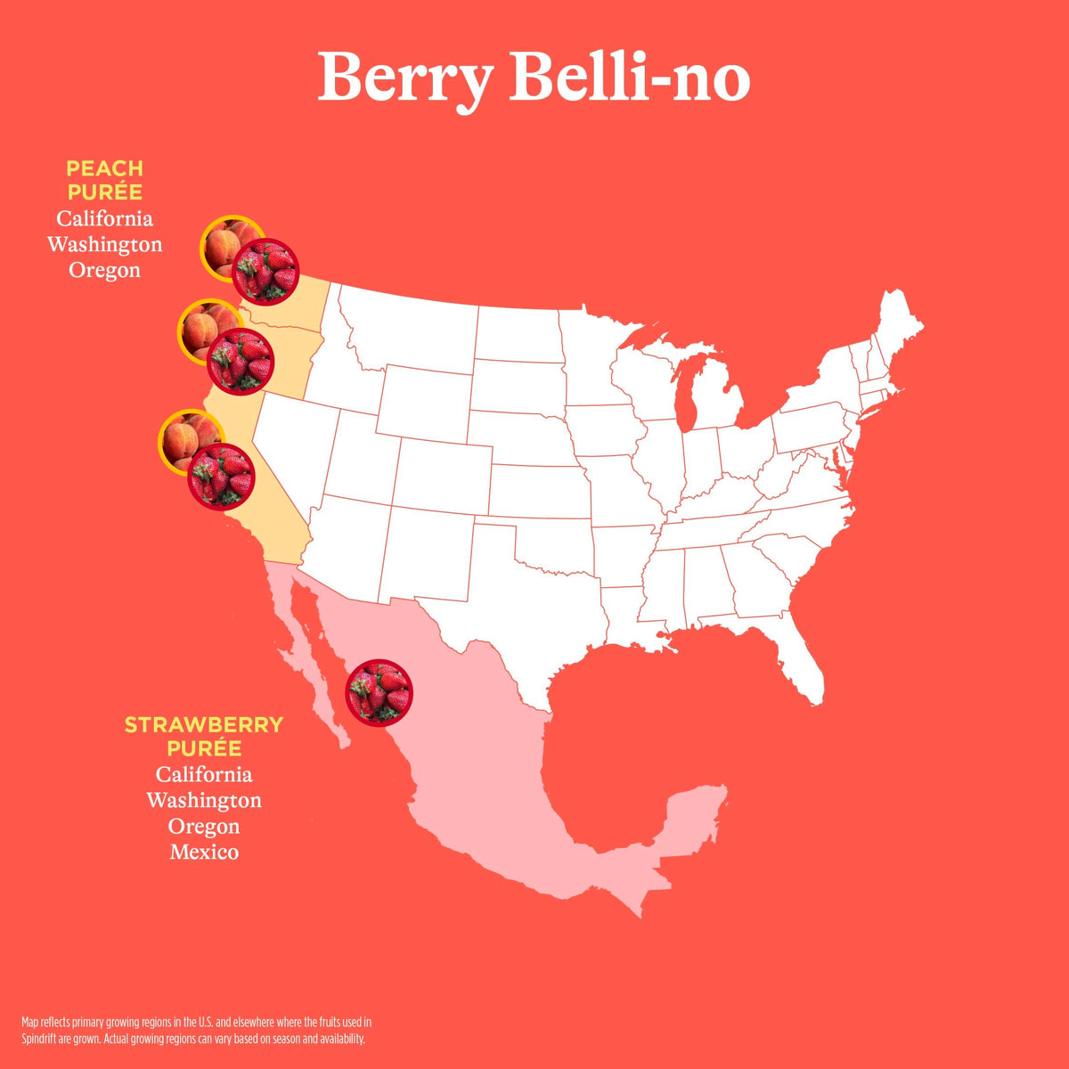 Spindrift Berry Belli-no Sparkling Water — Real Fruit Flavor, 24-Pack, 13 Calories per Can
