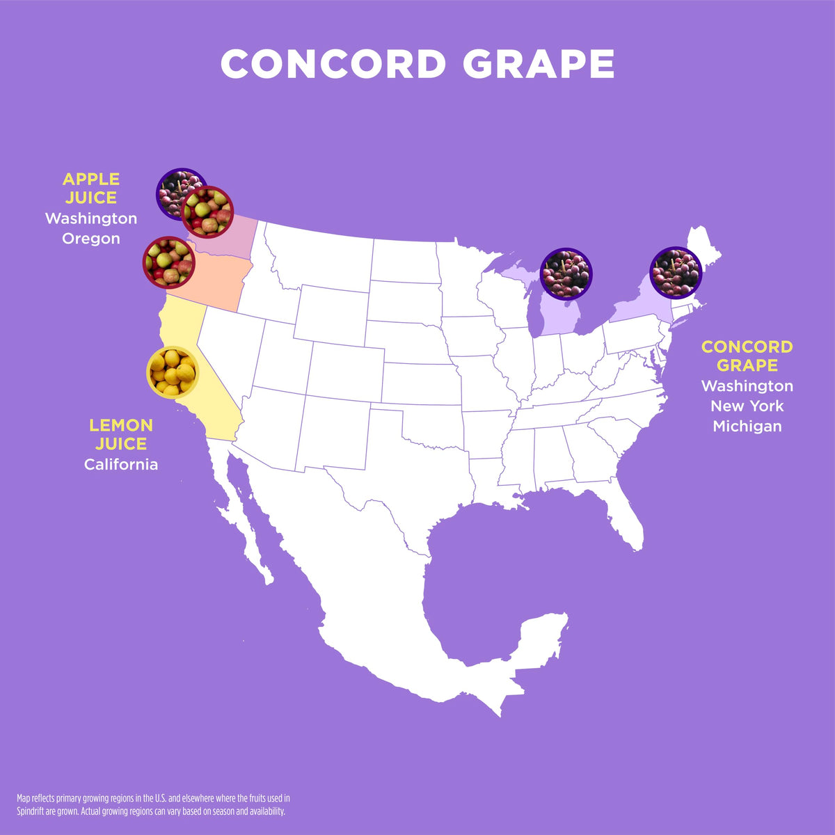 Spindrift Concord Freeze Grape Soda — Real Squeezed Fruit, 0g Added Sugar, 12-Pack