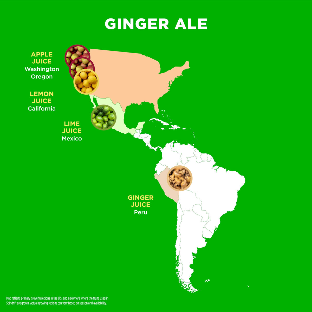 Spindrift Ginger Ale Soda — Real Squeezed Fruit, 0g Added Sugar, 12 Pack Case
