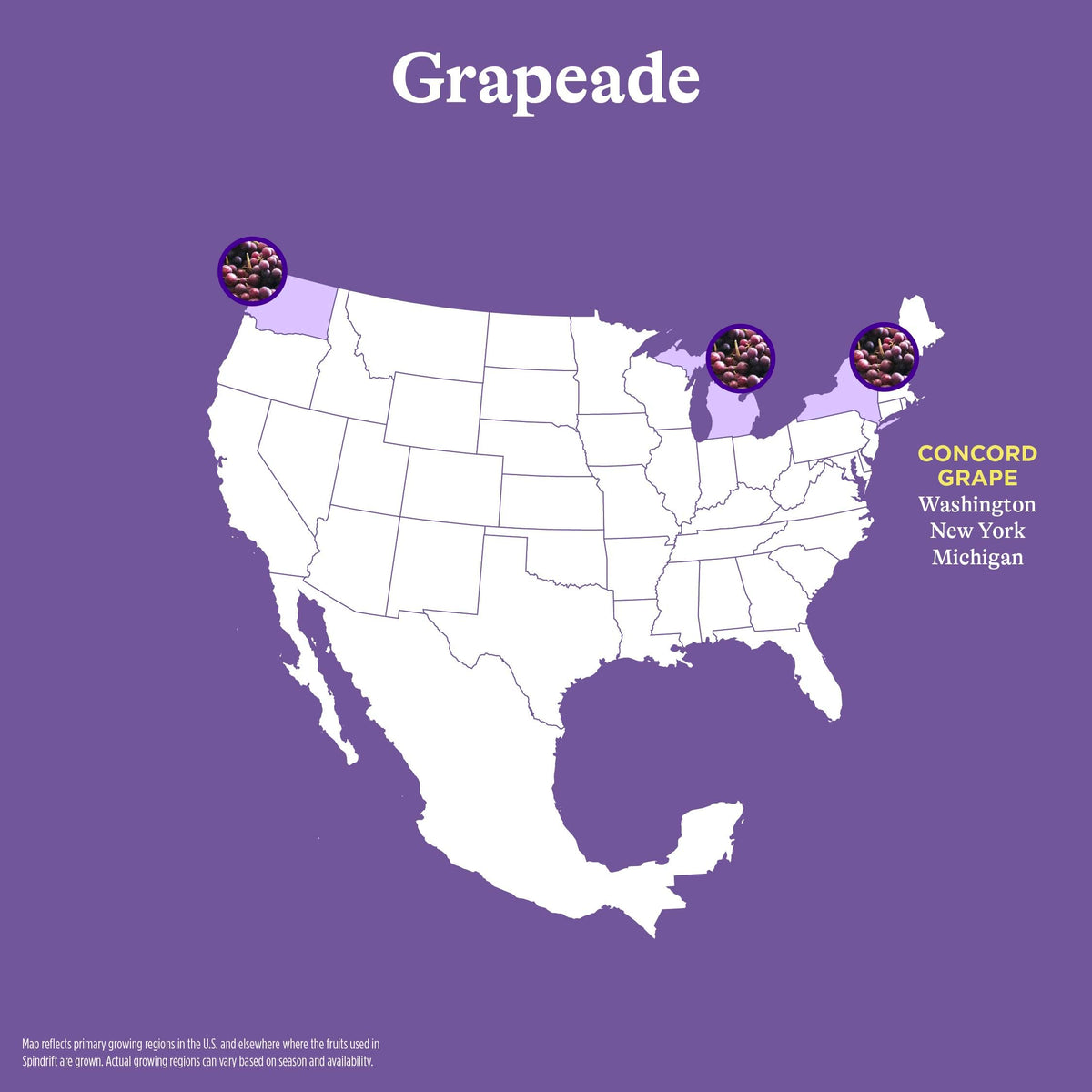 Spindrift Grapeade Can 12 oz – Pack of 24 | Real Fruit Sparkling Water