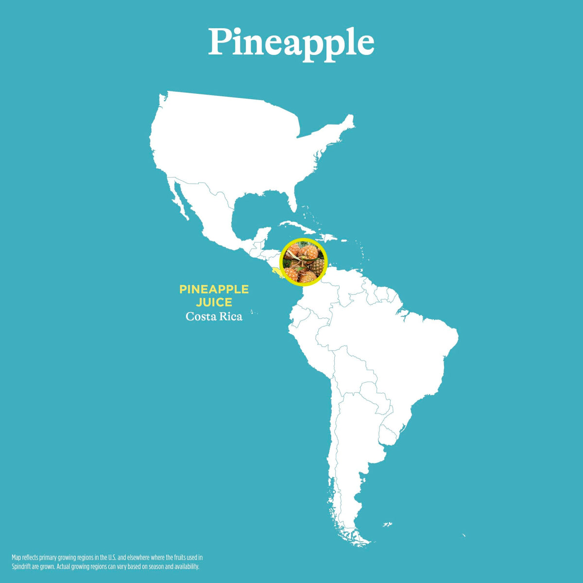 Spindrift Pineapple Sparkling Water – 12oz Cans (Pack of 24)