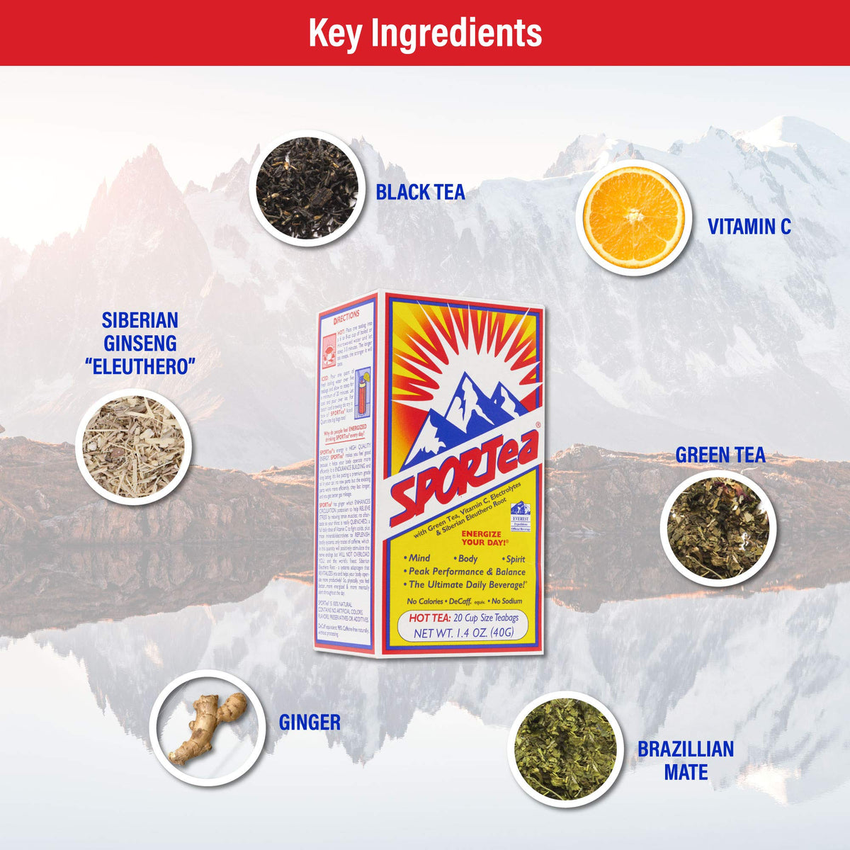 SPORTea Hot – Decaf Yerba Mate Energy Tea with Electrolytes | 20 Hot Tea Bags | 4 Pack | SPORTEA