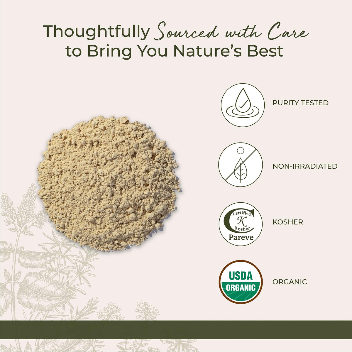 Starwest Botanicals Organic Ginger Root Powder – Ground Ginger for Tea & Cooking | Kosher & Non-GMO