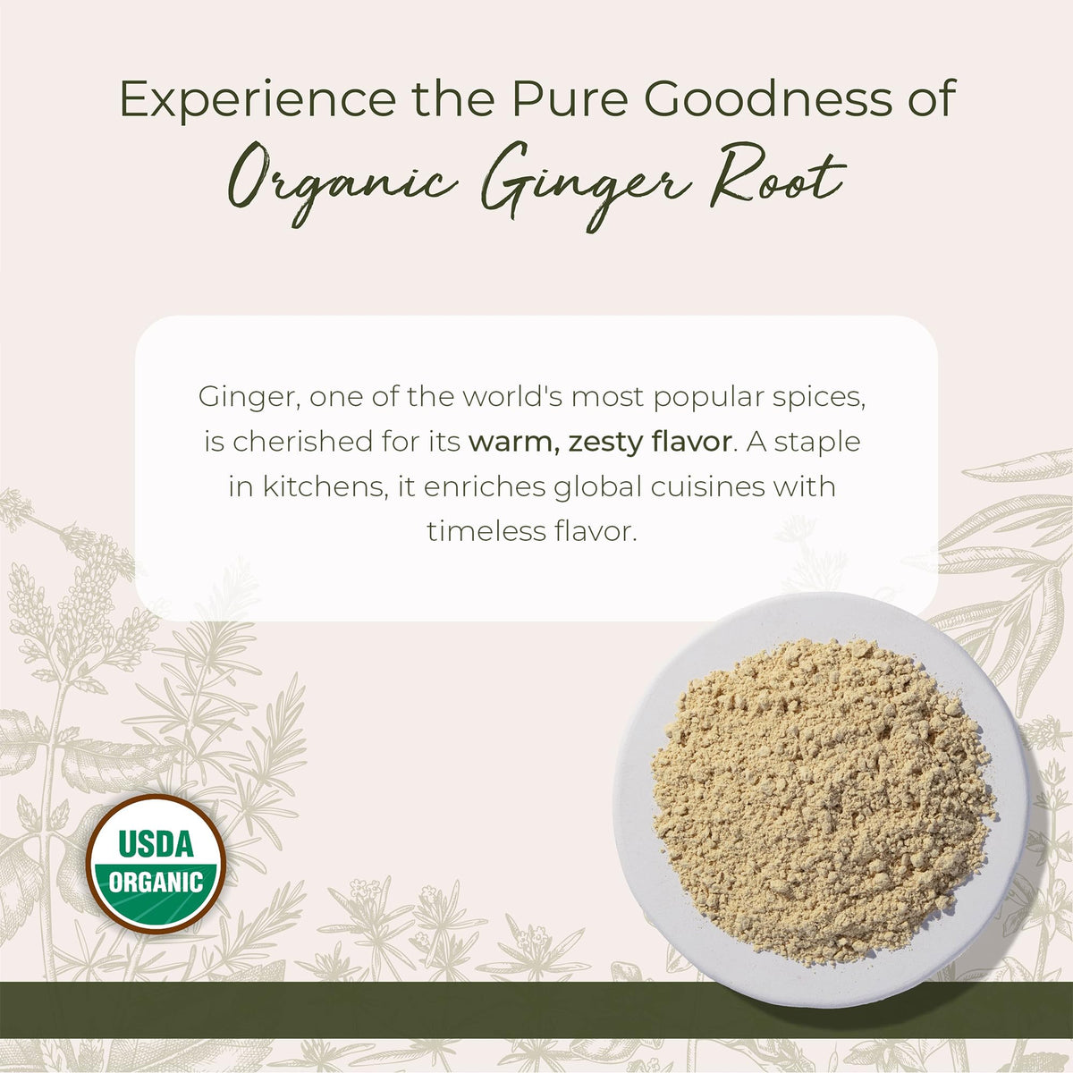 Starwest Botanicals Organic Ginger Root Powder – Ground Ginger for Tea & Cooking | Kosher & Non-GMO