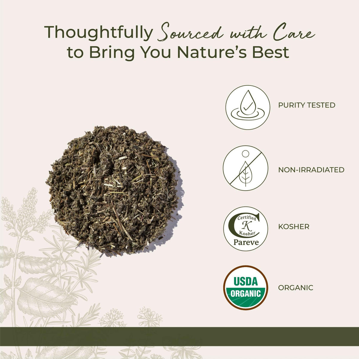 Starwest Botanicals Organic Mugwort Herb — Dried Loose Leaf, Kosher, Non-GMO, 1 lb Bulk
