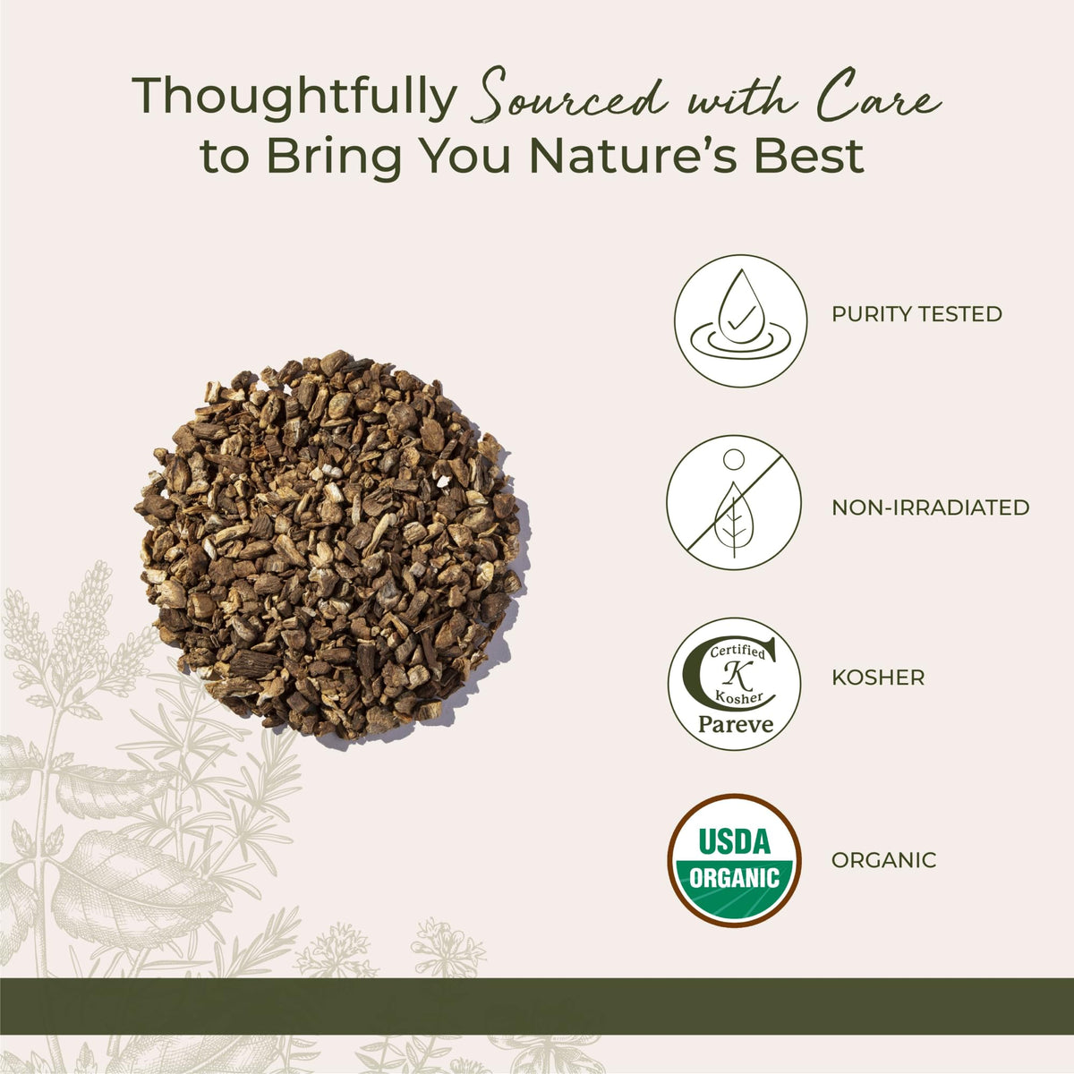 Starwest Botanicals Organic Burdock Root C/S 1 lb - Certified Organic
