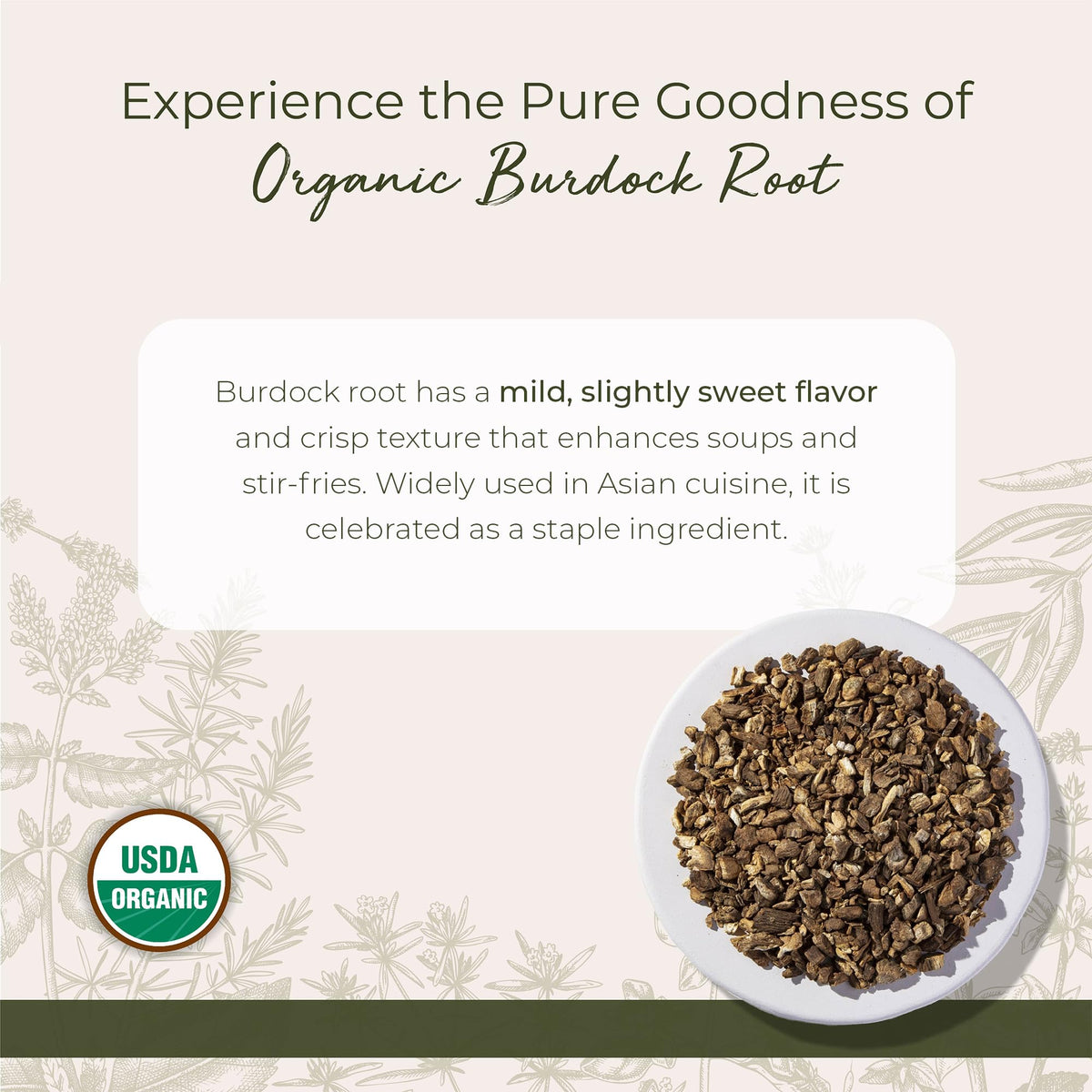 Starwest Botanicals Organic Burdock Root C/S 1 lb - Certified Organic
