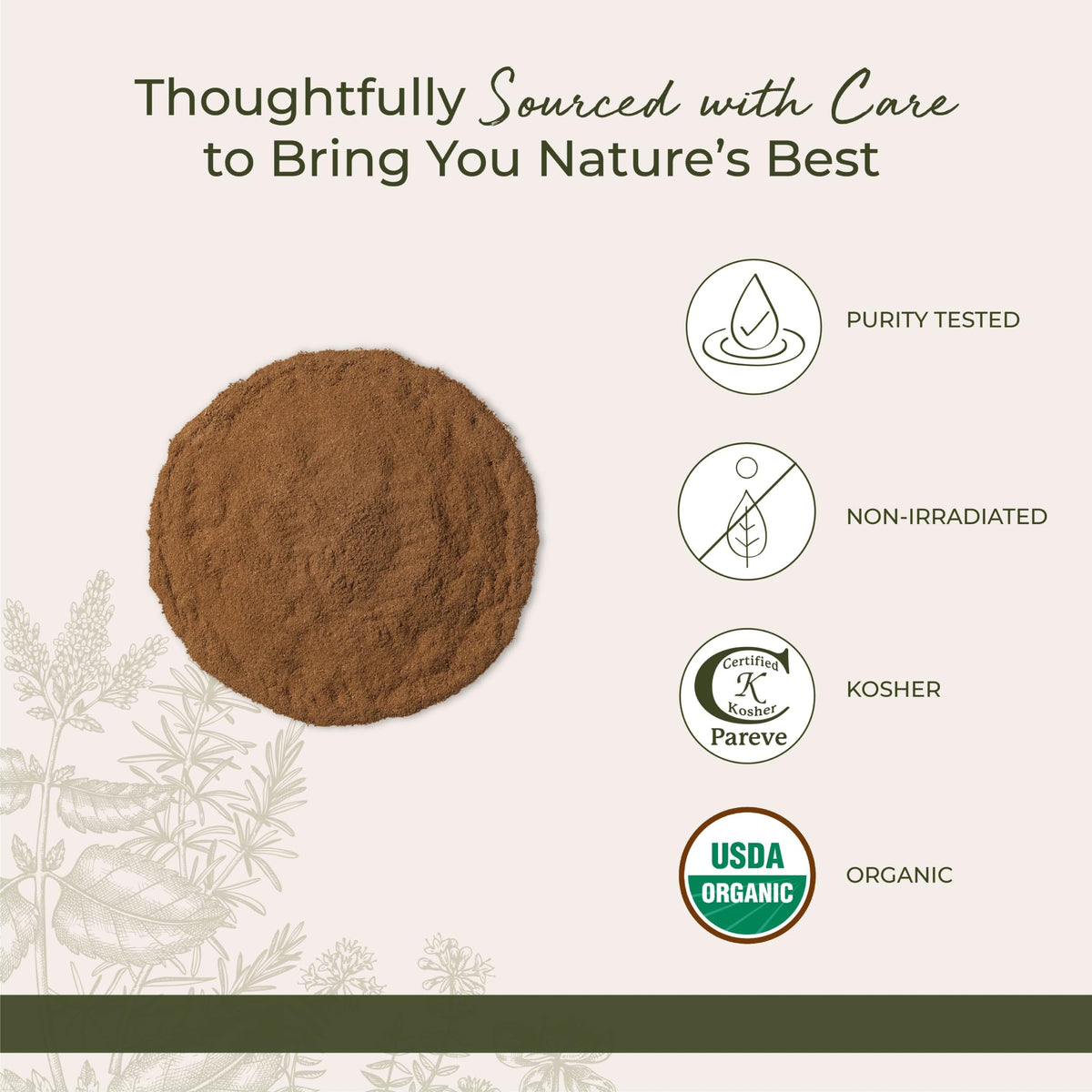Starwest Botanicals Organic Ceylon Cinnamon Powder – Kosher, Non-GMO, 1 lb