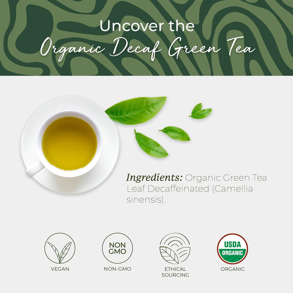 Starwest Botanicals Organic Decaf Green Tea – Caffeine Free, 100 Bags