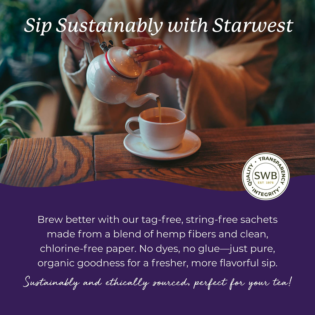 Starwest Botanicals Organic Elderberry Tea - Caffeine Free, 100 Bags