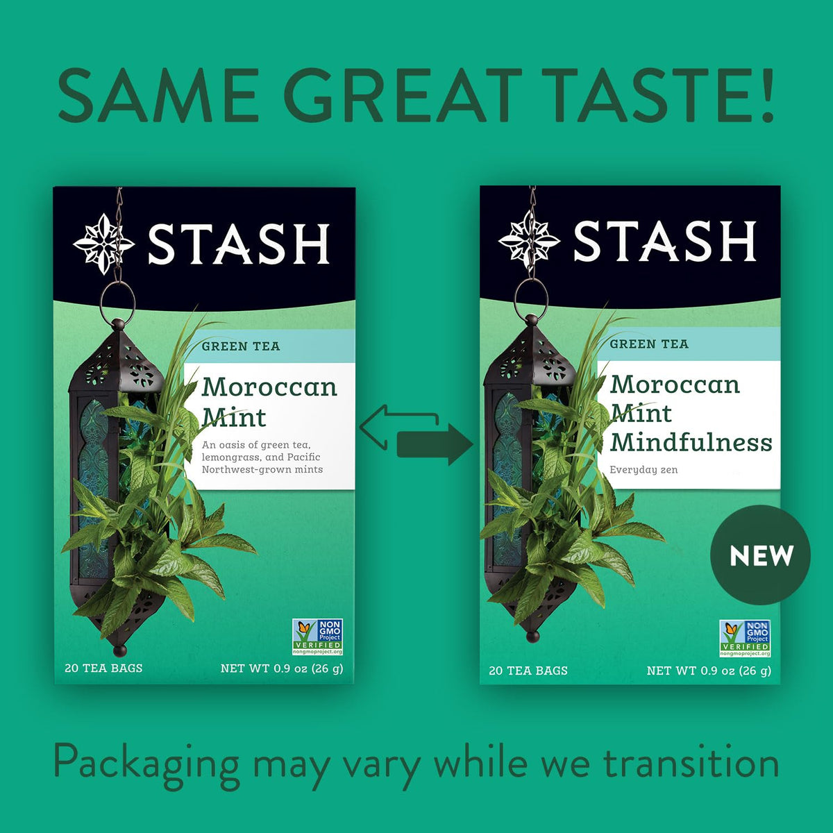 Stash Tea Moroccan Mint Green Tea - Caffeinated, Non-GMO, 120 Bags