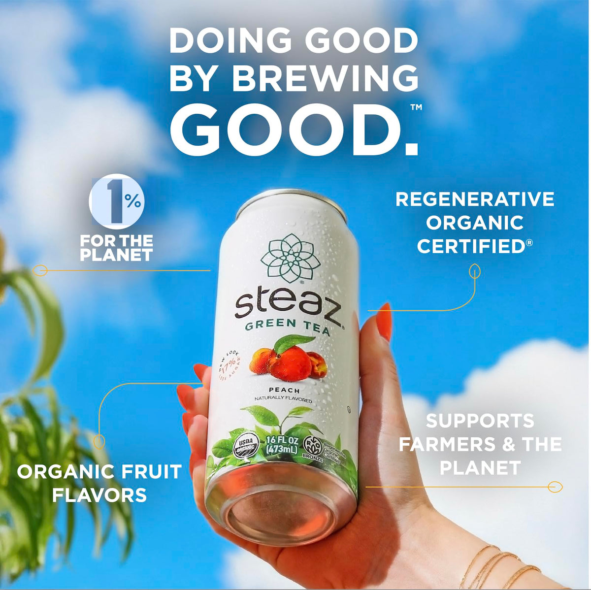Steaz Organic Green Tea Peach Flavored (12 Pack) – Antioxidant Brew, 65 mg Caffeine, 90 Calories, Vegan & Fair Trade