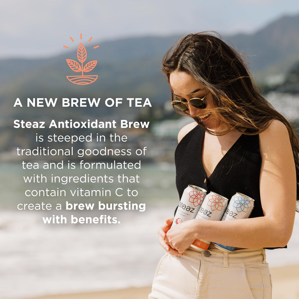 Steaz Organic Green Tea - Blueberry Pomegranate (12 Pack) | Antioxidant Brew, 65 mg Caffeine, 90 Calories, Vitamin C, Vegan