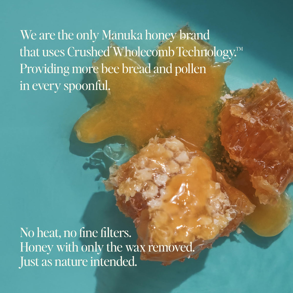Steens Manuka Honey UMF 24+ & MGO 1122+ | Pure Raw Manuka Honey, 7.9 oz
