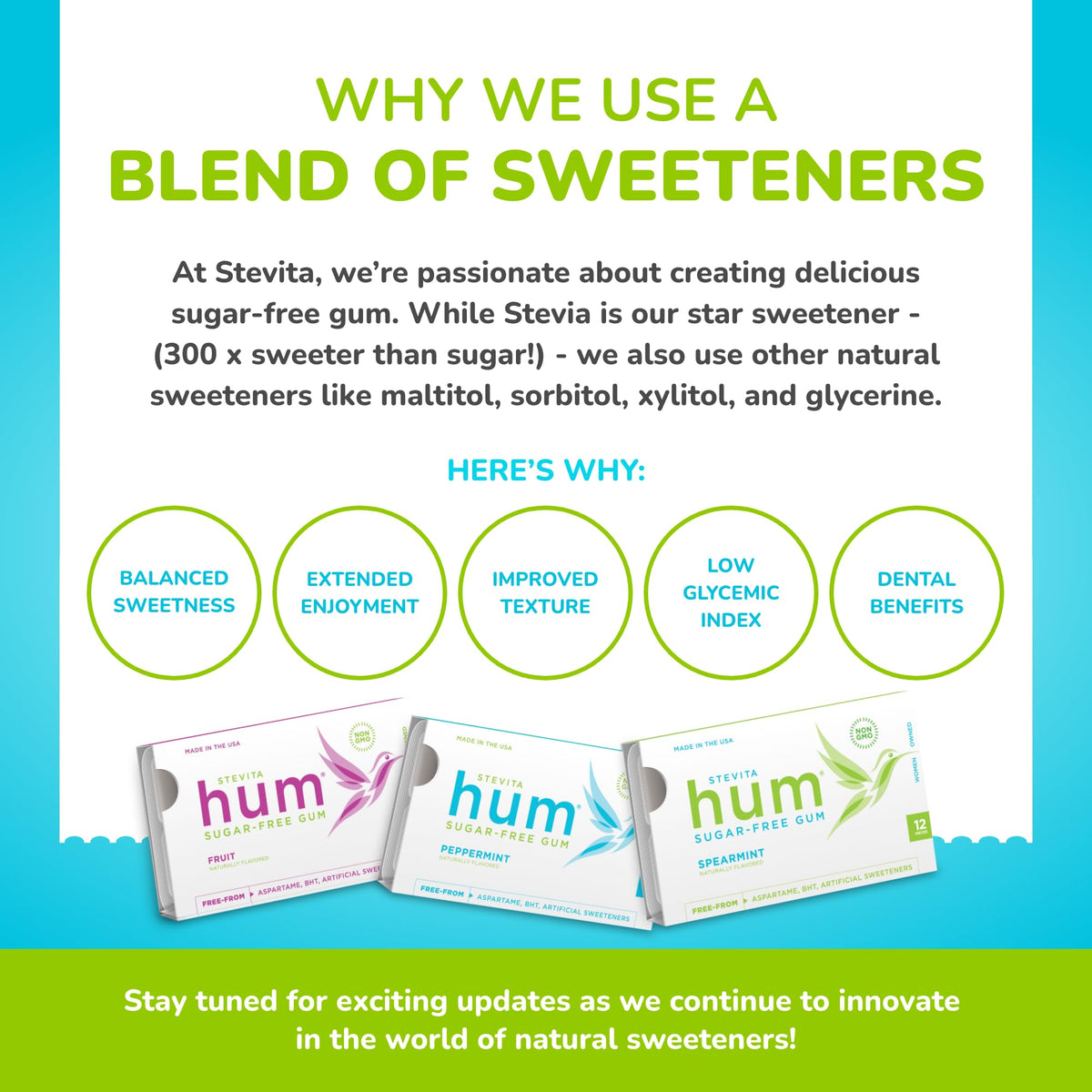 Stevita Hum Spearmint Sugar-Free Gum – 72 Servings, 12 Packs | Non-GMO, Vegetarian, Keto, Gluten Free