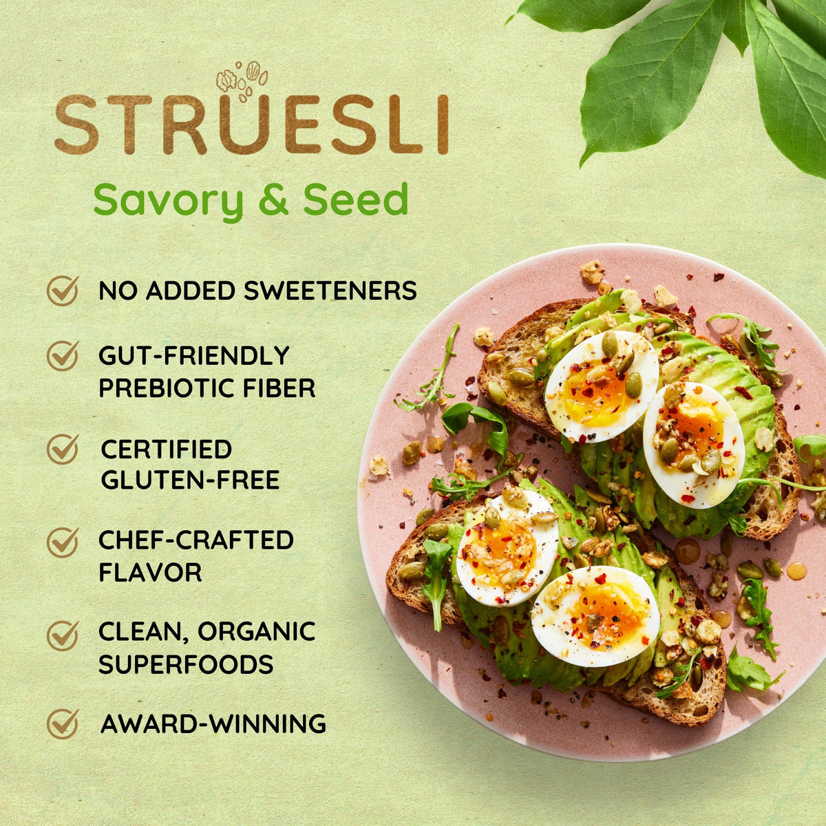 Struesli Savory & Seed Organic Granola — Grain Free, Nut Free, Gluten Free (2 Pack, 9 oz)