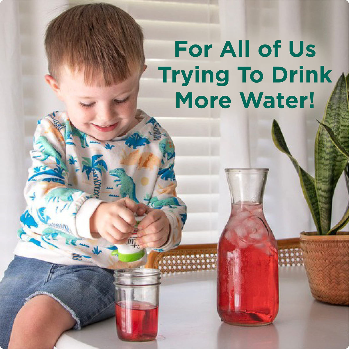 Stur Founder's Favorites Variety Pack – Natural Water Enhancer, Sugar Free, 0 Calories (4 Bottles, 80 Servings)