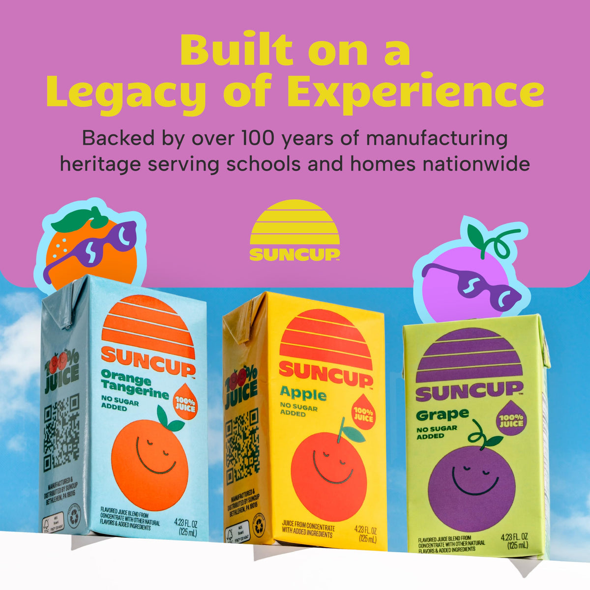 SunCup 100% Juice Boxes for Kids – No Added Sugar, No Dyes | 40 Pack Fruit Punch