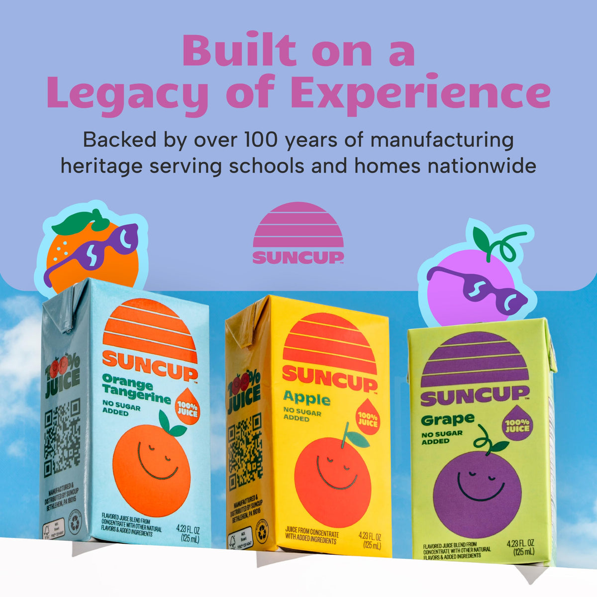 SunCup 100% Fruit Juice Boxes for Kids – No Added Sugar, No Dyes, No Preservatives | 40-Pack Very Berry