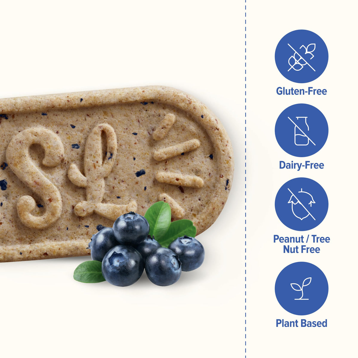 Sweet Loren's Vegan Blueberry Breakfast Biscuits – 4g Protein, 19g Whole Grains | Gluten-Free & Dairy-Free