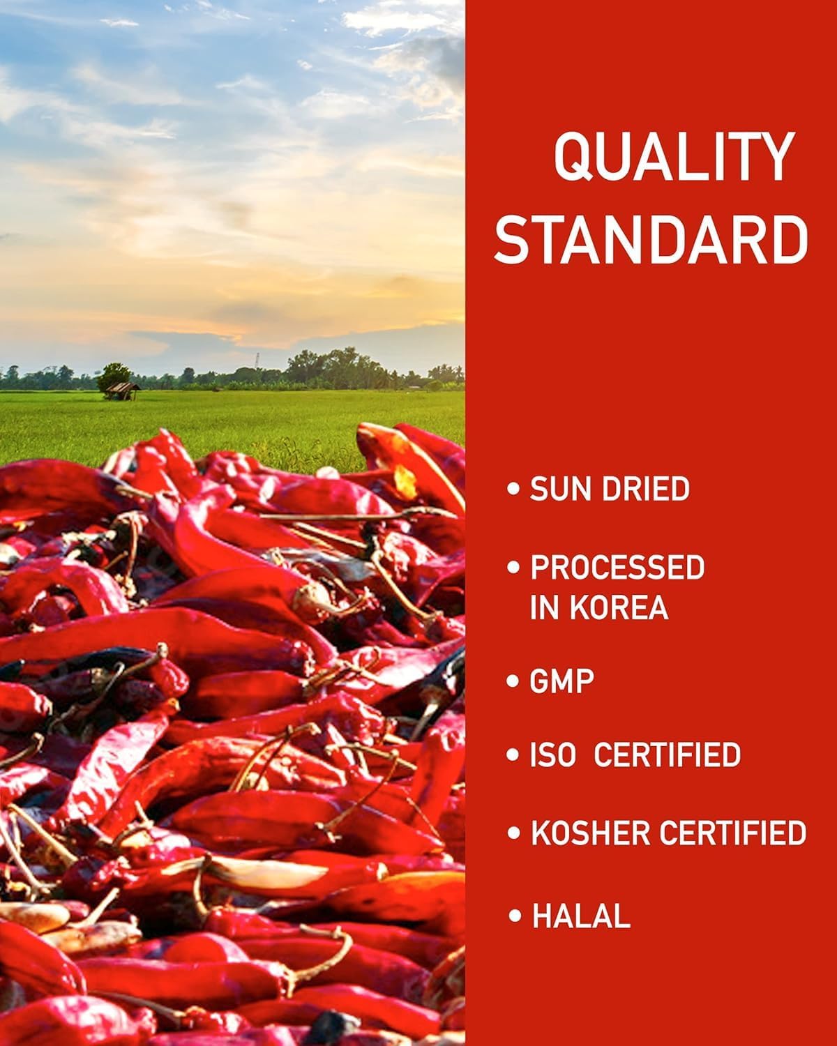 Taekyung Chili Powder for Kimchi (Flake, 3LB) – Korean Gochugaru, MSG Free