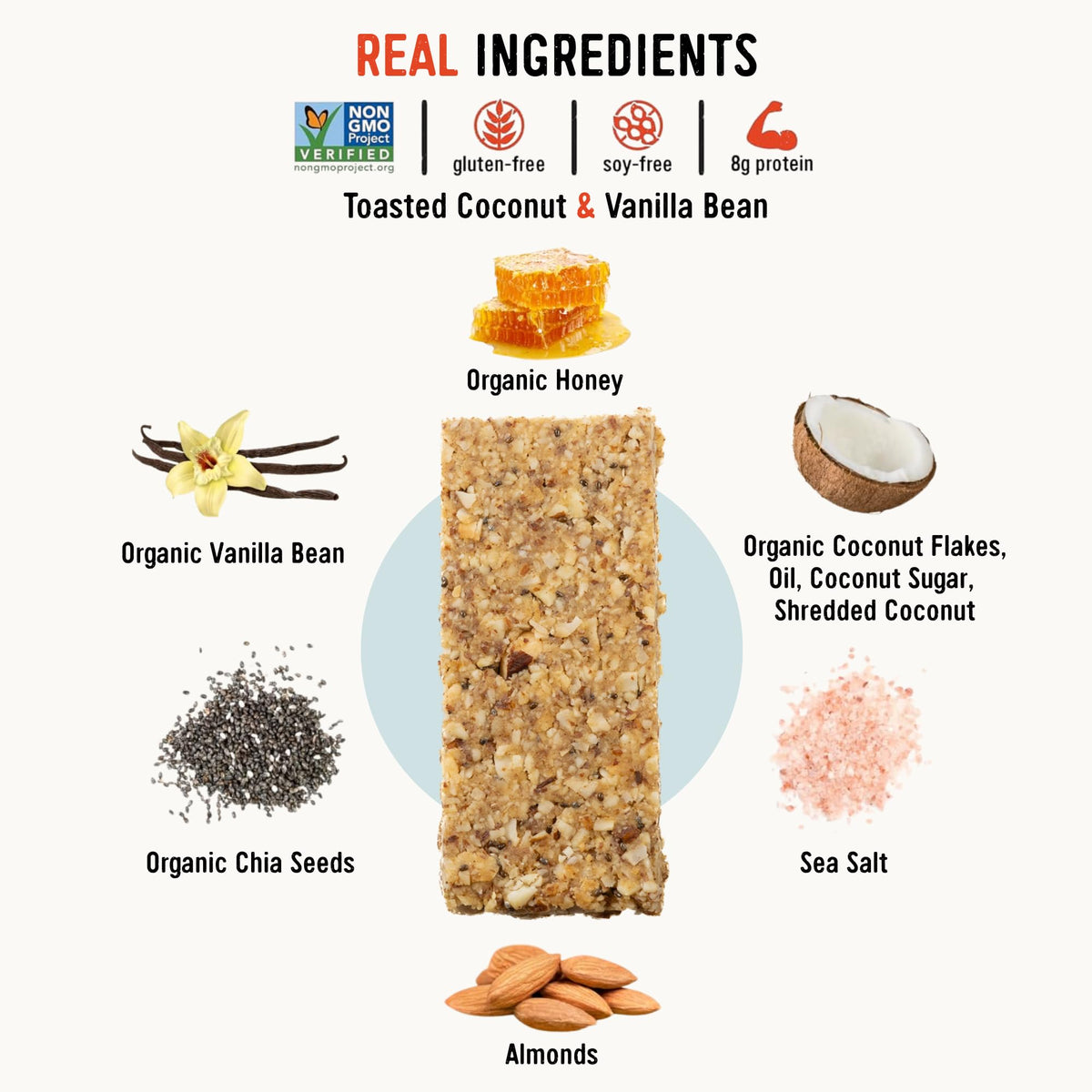 T Taos Bakes Toasted Coconut + Vanilla Bean Snack Bars – 12 Pack, 1.8 oz Each | 6g Fiber & Gluten Free