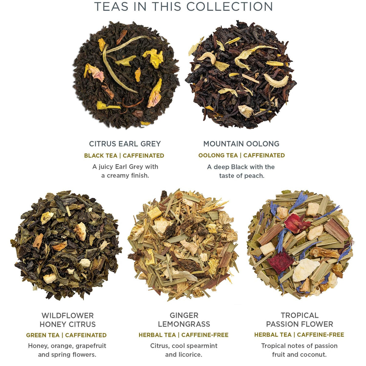 Tea Forte Premium Petite Gift Set Sampler – 10 Pyramid Teas, 2 of Each Blend